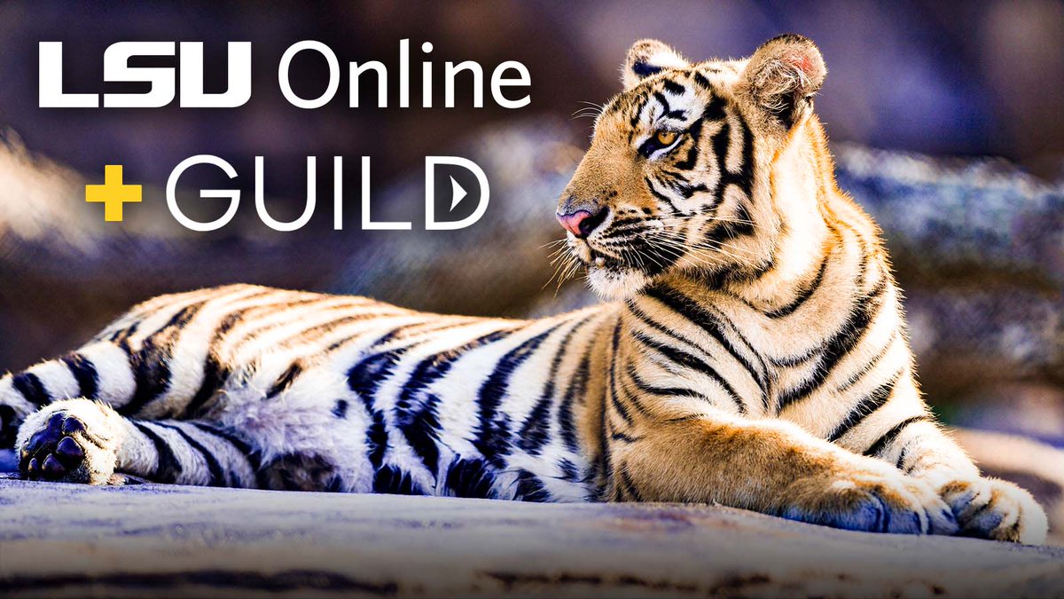 LSUOnline's tweet photo. We are excited to partner with @GuildEducation to provide working adult learners at Guild’s employer partners, including @ChipotleTweets, @Target, @Walmart & more, access to a wide spectrum of online degrees and certificates! Learn more at https://t.co/ZfcGz943Cm. #PartnerWithLSU https://t.co/eitUrOC4F7