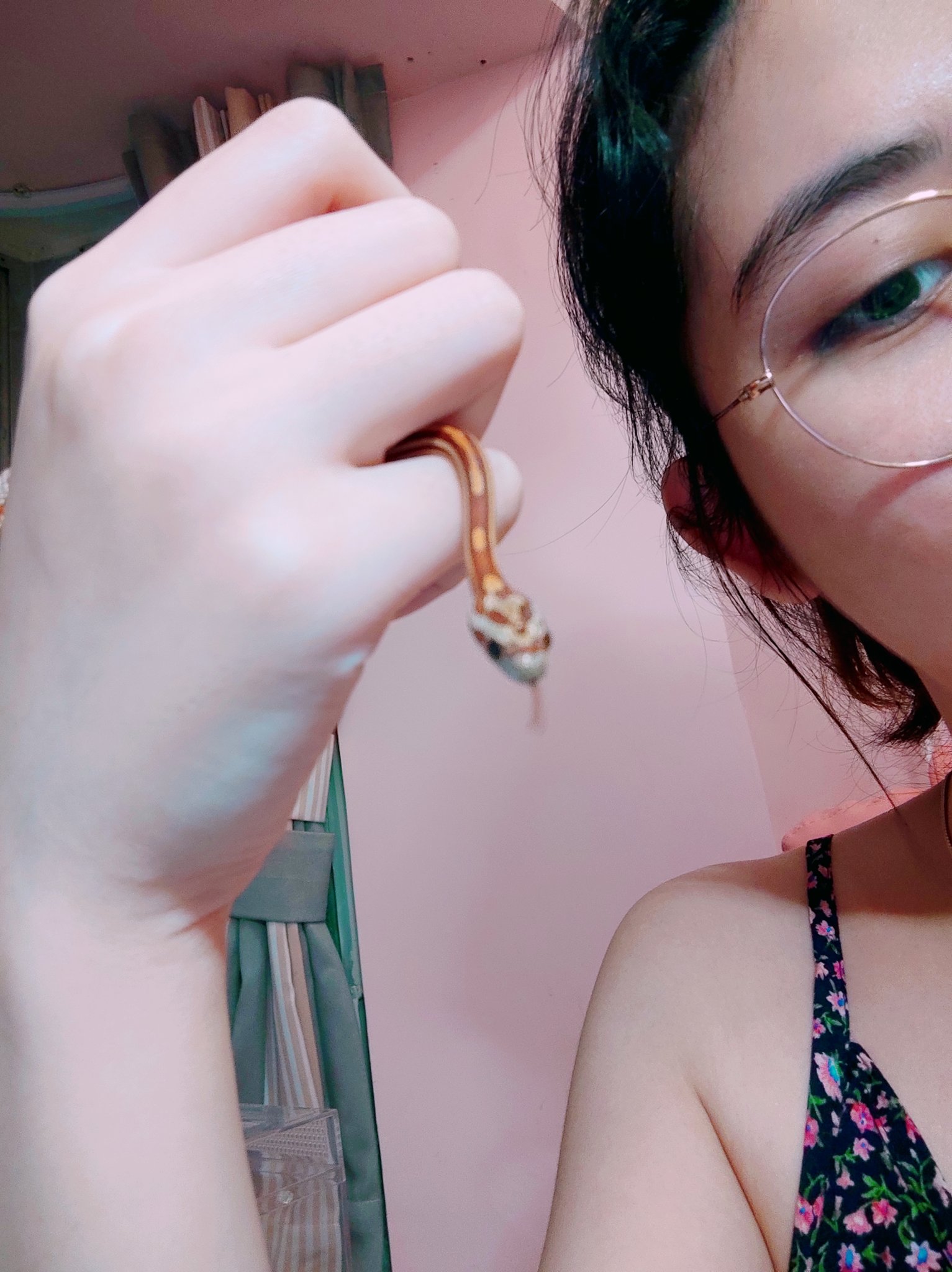 Naimi奶咪2 on X: My Petssssssss 🐍 t.co3mFien9RNN  X