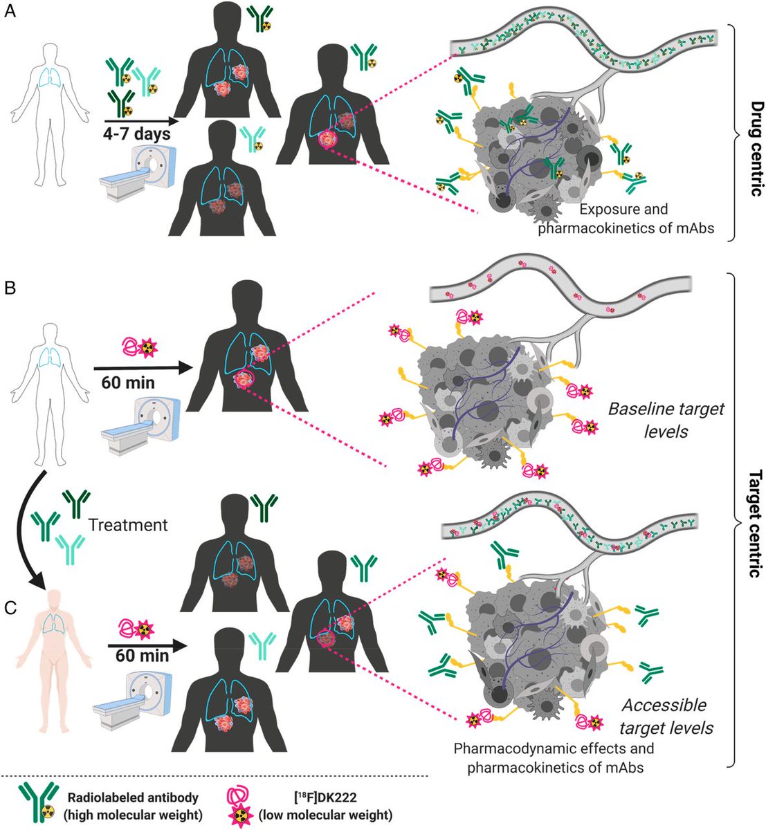 Hopkins Med News (@hopkinsmednews) on Twitter photo Collecting biopsies isn't easy for patients who have multiple #Cancers. So, <a href="/HopkinsMedicine/">Johns Hopkins Medicine</a> researchers developed an agent that marks so-called immune checkpoints in the whole body non-invasively for imaging. 1/3
bit.ly/3kNTqND Collecting biopsies isn't easy for patients who have multiple #Cancers. So, <a href="/HopkinsMedicine/">Johns Hopkins Medicine</a> researchers developed an agent that marks so-called immune checkpoints in the whole body non-invasively for imaging. 1/3
bit.ly/3kNTqND