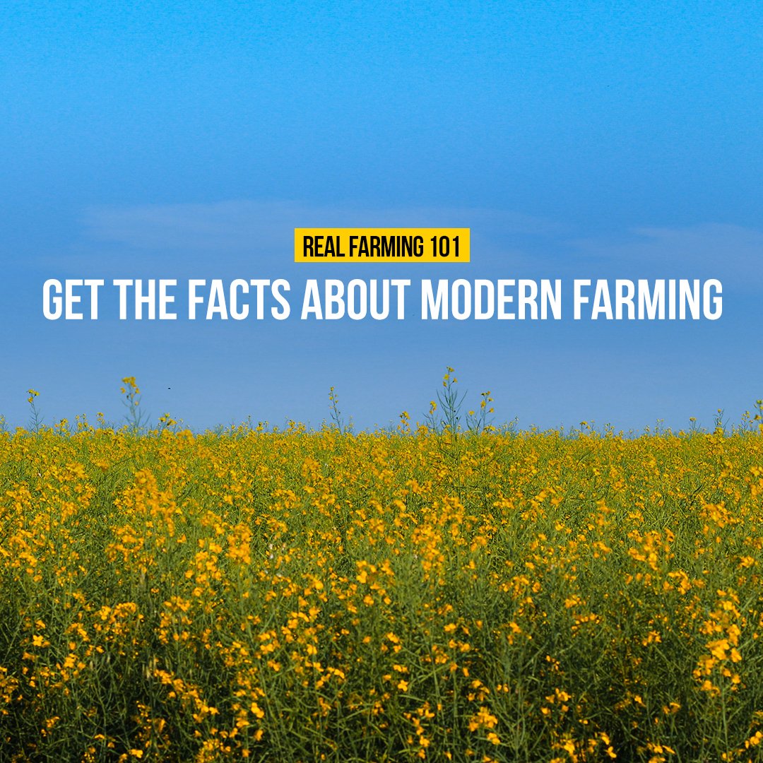 Ever wondered what modern farming looks like? Hint: it’s come a long way and technology plays a huge role. Learn more: bit.ly/3giiGJw
#CdnAgPartnernship