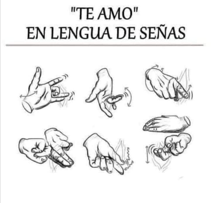sexologa_san's tweet photo. ❤🅃🄴 🄰🄼🄾���
Sólo los que aman mucho lo entenderán 😂
Excelente martes!
#lenguajeaseñas #teamo #oral #manos #ritmo #movimiento #dedear #martes #sexologa_san #sexgoogle https://t.co/0eqNz7nWDc