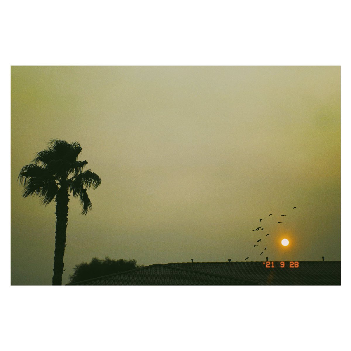 TheeMilla's tweet photo. // w h i c h t u e s d a y i s t h i s , //
The winds sending us the super haze from all of the Cali fires this morning. They also gifted us with the red sun.
#califire #vintage #filmlook #iphone13pro #vegas https://t.co/zDsFvooSBR