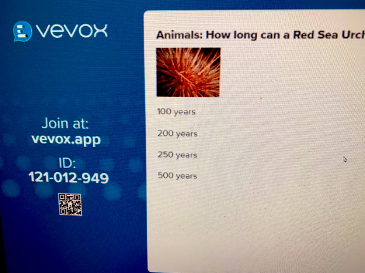 NSFT_CCIO's tweet photo. Veevox (like mentimeter on steroids!) now available for free across the EofE. Use it to make training more interactive without pressure. @phwandjes @chrisol1 #autumnsymposium21 Link in last pic. https://t.co/RhAfC6siW7