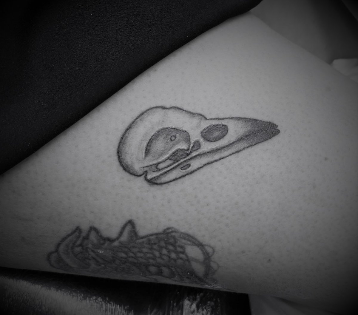 MrBulbTattoos's tweet photo. Cant decide what your next tattoo should be? We have flash books available to flip through! Bring us your designs or pick from our selection. Walk ins are welcome

#walkins #tattoo #tattoostudio #flashart #MrBulb #burystedmunds https://t.co/LOCXQBNyOQ