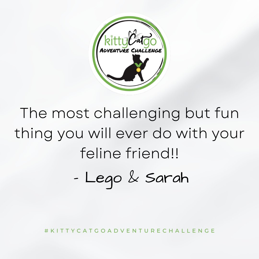 KittyCatGO7's tweet photo. The #KittyCatGOAdventureChallenge kicks off THIS FRIDAY! It's a great way to bond with your cat, find new things to try, and grow you and your cat's confidence! Plus, it's just plain fun. 
Register here: https://t.co/PSsynizUCF
Challenge #sponsored by @sleepypod 
#adventurecats https://t.co/1flPNAuq0A