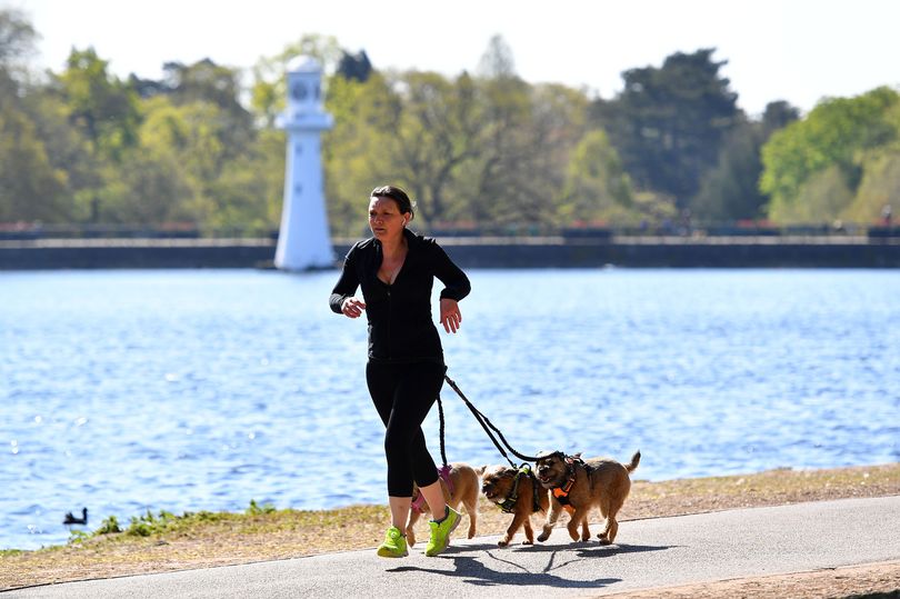 WalesOnline's tweet photo. Trees are going to be chopped down in Roath Park - but officials say it's needed because of climate change
https://t.co/SPo4KZzG9x https://t.co/yJfJULiPWn