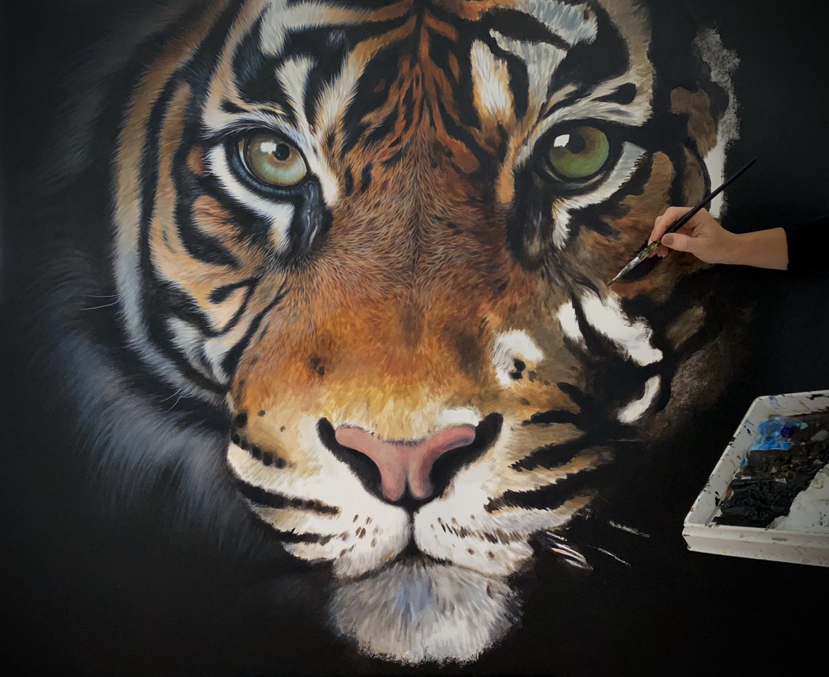 A new day, a new painting….huge tiger acrylic painting on canvas in the very early stages. So much work to do here 😂 

#tiger #tigerpainting #artist #paint #acrylicart #cornwallart #bigcat #artstudio