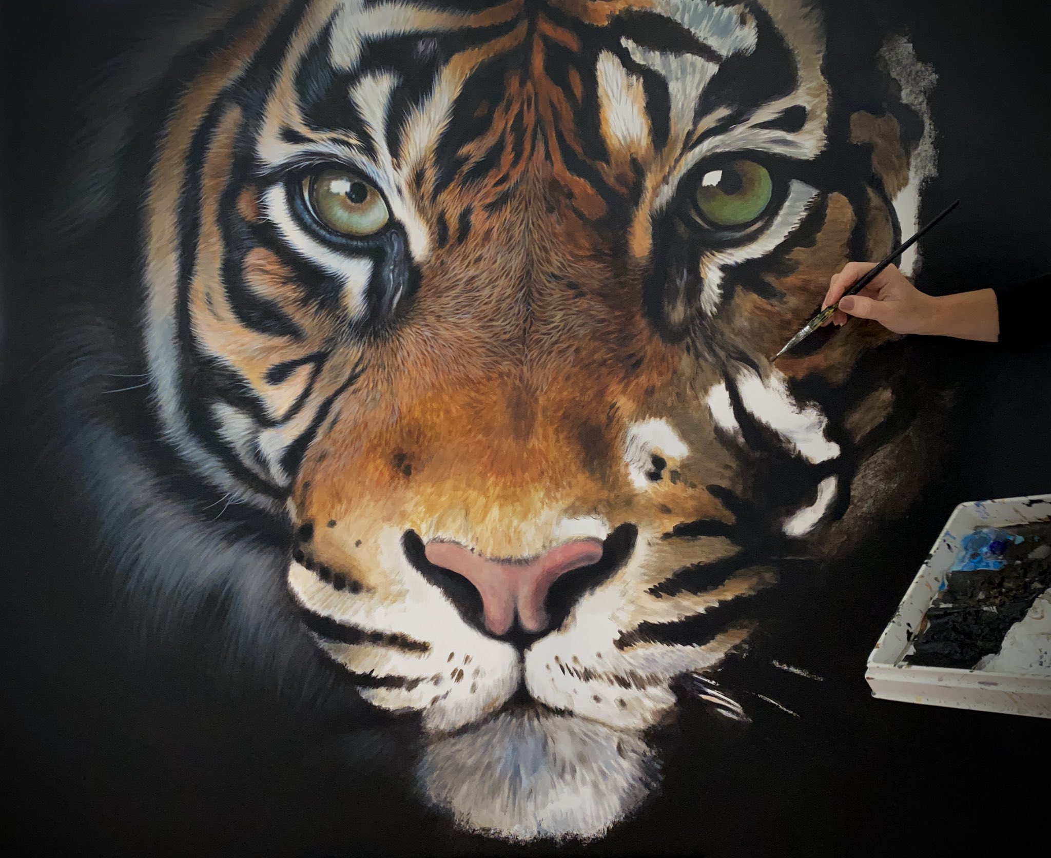 Tiger 2024 acrylic painting