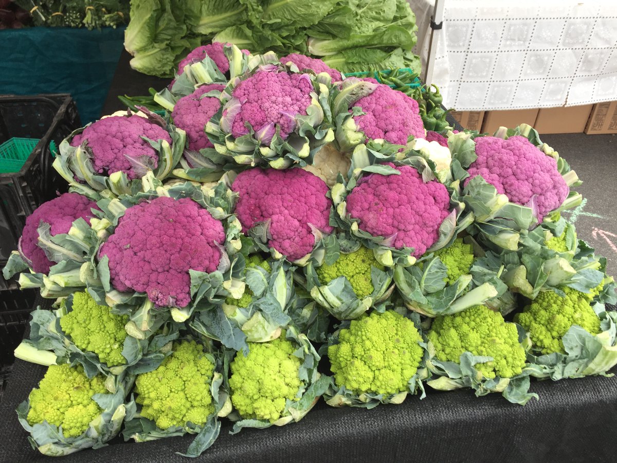 HillcrestFarmMk's tweet photo. Have you ever tried Romanesco cauliflower? You should! It's a green (or purple) type of cauliflower that often looks more like broccoli than cauliflower. It's delicious and in season at the Hillcrest Farmers Market. 

Visit them every Sunday from 9am to 2pm on Normal. https://t.co/6KfUk6CCgM