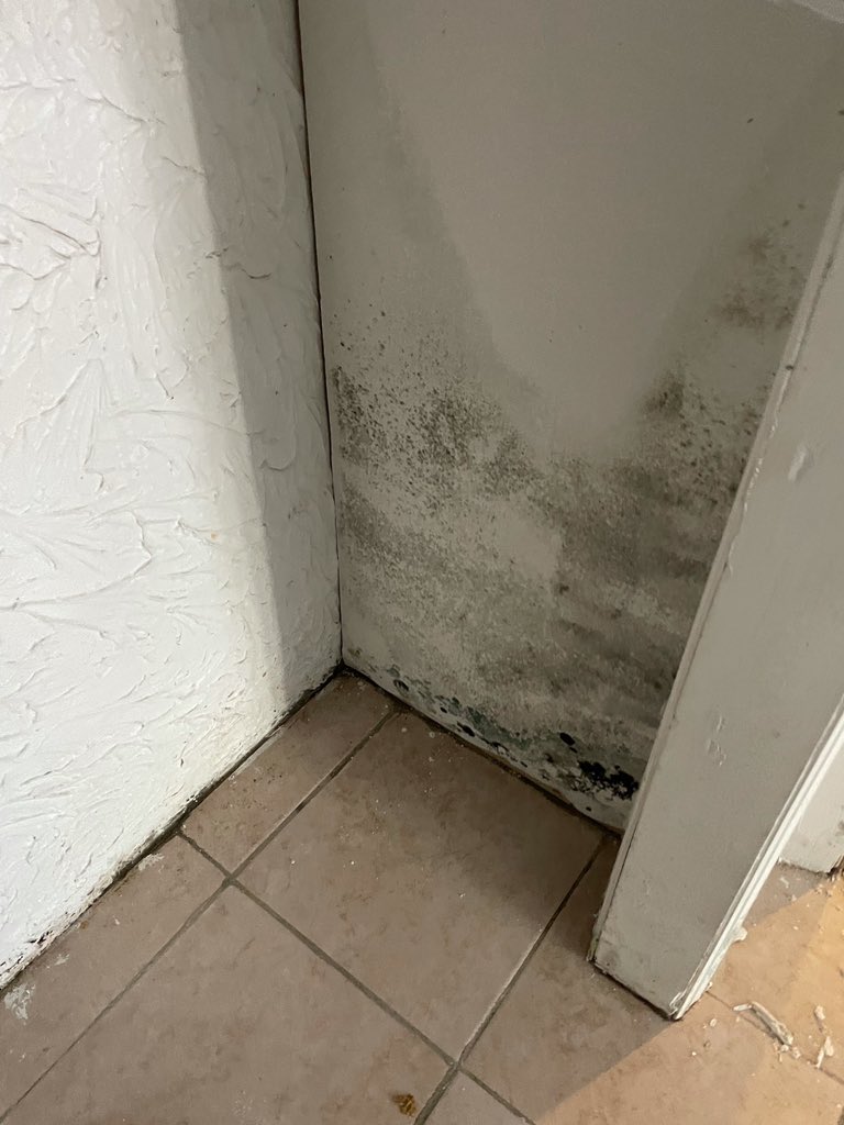 NICE4Workers's tweet photo. Mold, asbestos, & electrocution are some of the major #hazards that #workers are exposed to during #Hurrican cleanup.
NICE’s Relief Brigade is educating #DayLaborers & #ImmigrantWorkers of these risks as #landlords & #homeowners hire them to help with #Ida recovery. https://t.co/o4BQMAF8ho