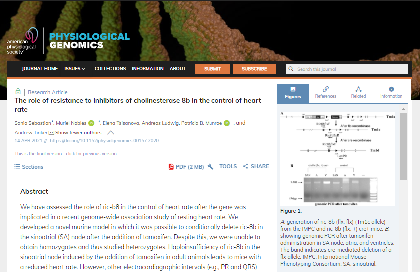 #PhysiologicalG's #FreeArticleOfTheWeek goes to  'The role of resistance to inhibitors of cholinesterase 8b in the control of heart rate'  by Sonia Sebastian, et al 
ow.ly/3llp50GhUxd 
#HeartRate @munroe_patsy