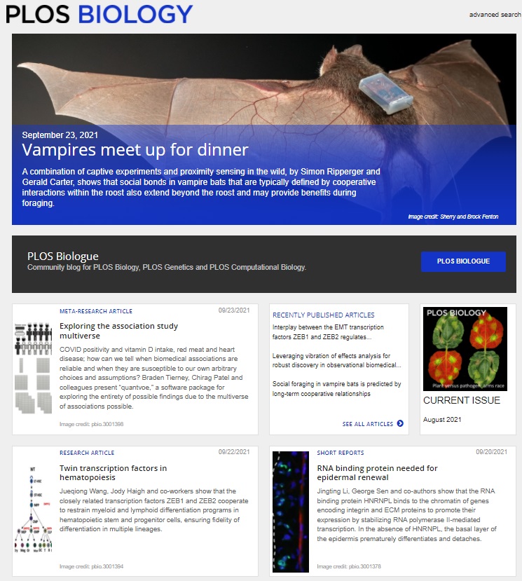 PLOSBiology's tweet photo. This week's new homepage for @PLOSBiology - #vampire dining clubs, exploring #AssociationStudy multiverses, regulation of #hematopoiesis, renewal of the #epidermis, all in https://t.co/Z4GbhIItuo https://t.co/aD6rTfnNIs