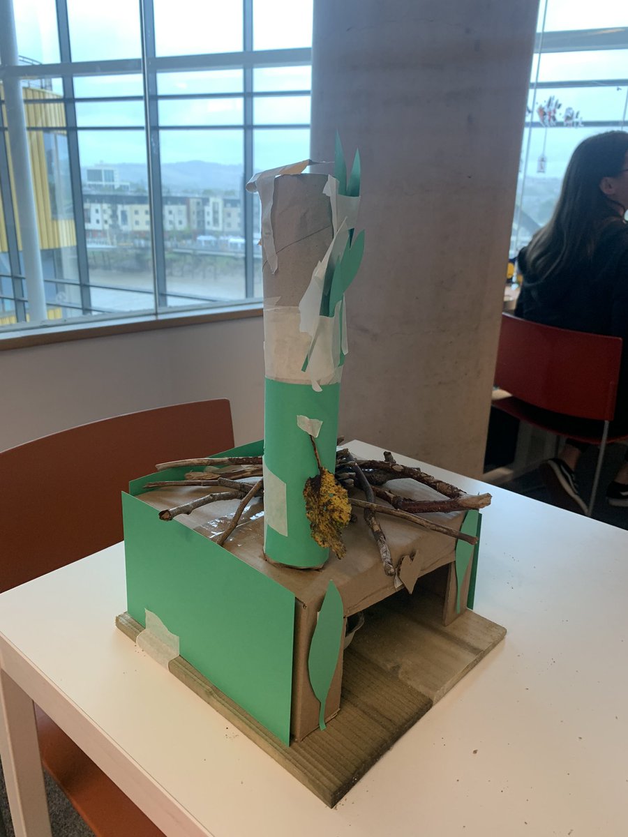 MissRedmanUSW's tweet photo. This morning we learnt about teaching sustainability in Science and Technology. We created a sustainable home for our homeless baby squirrel. We hope he keeps fit and healthy whilst using his tree tunnels 😁 #Sustainability @BAPrimaryUSW https://t.co/RTl9irj4Es