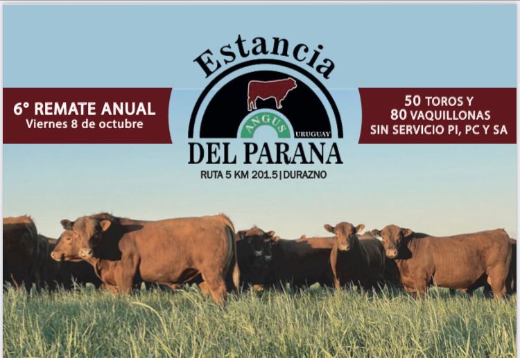 Catalogo disponible en Ramos&amp;Garcia. Preoferte y obtenga DESCUENTOS‼️‼️