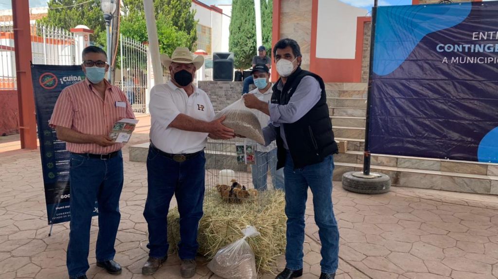 sagdr_dgo's tweet photo. Por instrucción del Secretario @Manuelsz2021 el equipo de la #SAGDR visita la localidad de Francisco I. Madero del municipio de #PanucodeCoronado, a fin de entregar diversos apoyos con el objetivo de beneficiar a las familias del campo que más lo necesitan.
#CampoFortalecido https://t.co/weH97tWtef