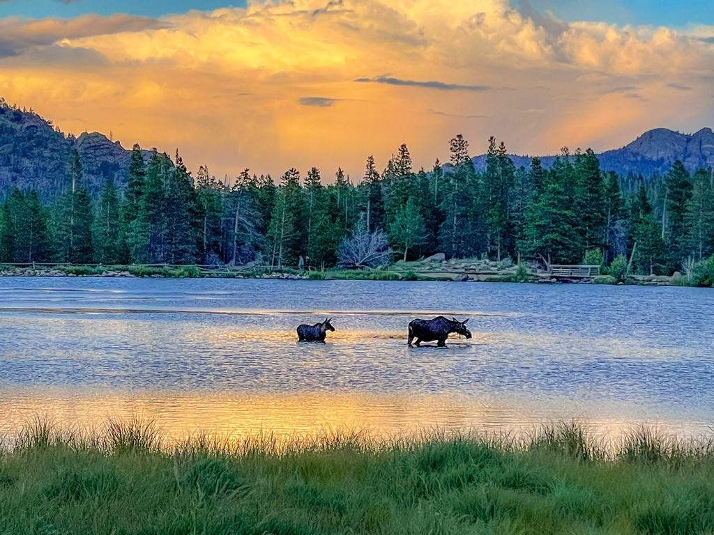 OhanaExpedition's tweet photo. An amazing hike at #BearLake, a gorgeous 🌈  after the storm, and sunset views of a mama and baby moose eating dinner!! 
And as if that wasn't enough....we got up the next morning and made our way to #cinnamonsbakery for the BEST cinnamon rolls ever!  
Love this RV life!! https://t.co/adVMZTgDZH