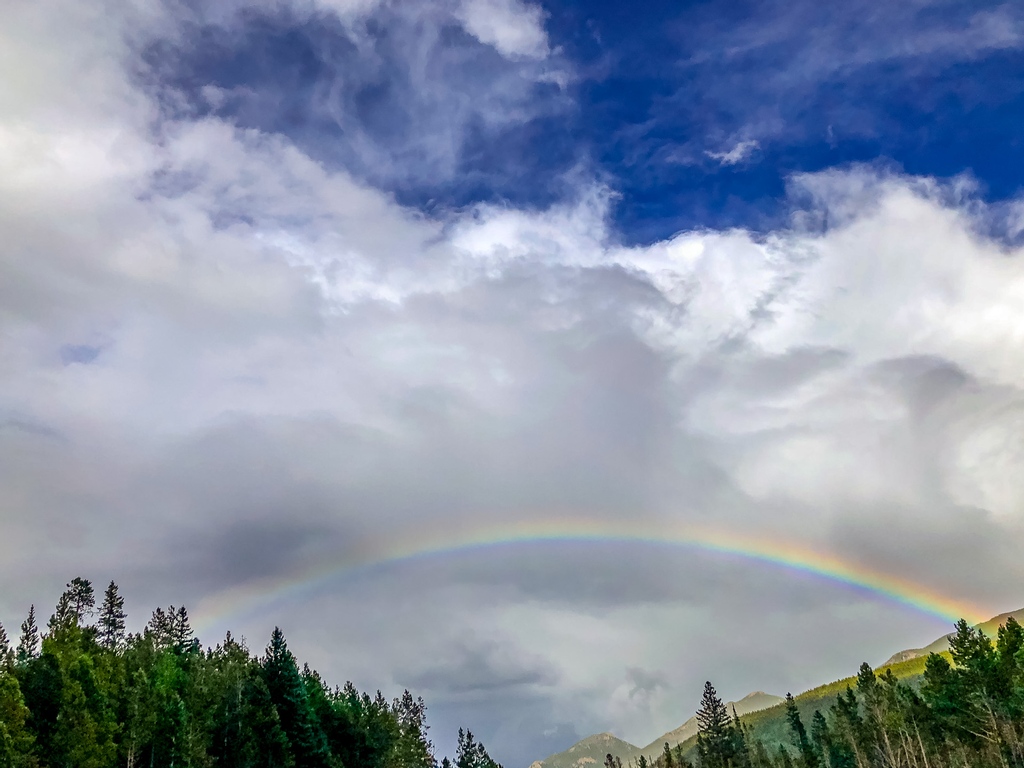 An amazing hike at #BearLake, a gorgeous 🌈  after the storm, and sunset views of a mama and baby moose eating dinner!! 
And as if that wasn't enough....we got up the next morning and made our way to #cinnamonsbakery for the BEST cinnamon rolls ever!  
Love this RV life!!
