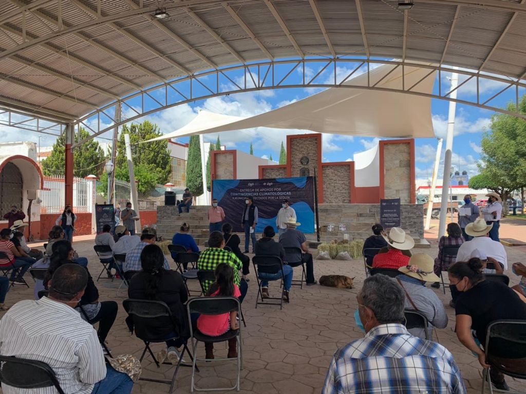 sagdr_dgo's tweet photo. Por instrucción del Secretario @Manuelsz2021 el equipo de la #SAGDR visita la localidad de Francisco I. Madero del municipio de #PanucodeCoronado, a fin de entregar diversos apoyos con el objetivo de beneficiar a las familias del campo que más lo necesitan.
#CampoFortalecido https://t.co/weH97tWtef