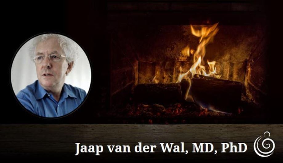 We are excited to offer an opportunity to attend Jaap van der Wal's 3-part lecture series, "Acts of the Soul: Embryology and Birth Psychology" 12 pm est on these dates:
Tues, November 9, 2021
Tues, December 7
Tues, January 18 

Reserve a spot here

us02web.zoom.us/meeting/regist…
