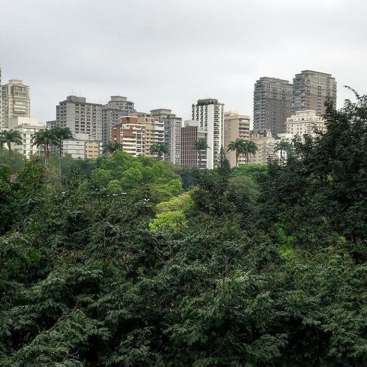 #SaoPaulo