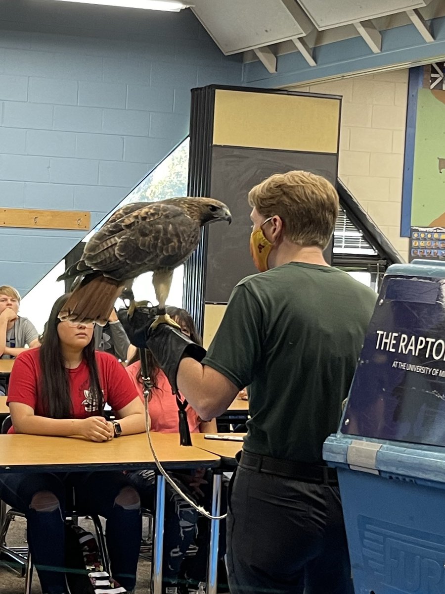 ohsoffice's tweet photo. Thanks MN Raptor Center for sharing your amazing birds and knowledge with us today! #Bestteaching https://t.co/q1axhw0OeV
