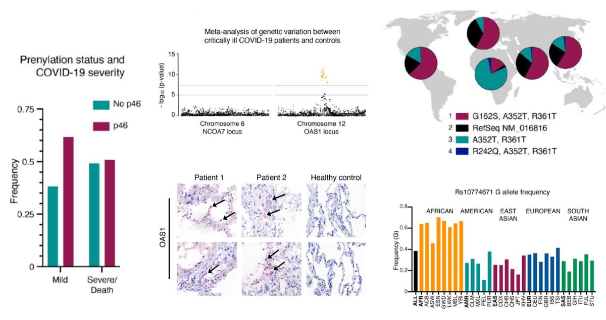 Eric Topol tweet media