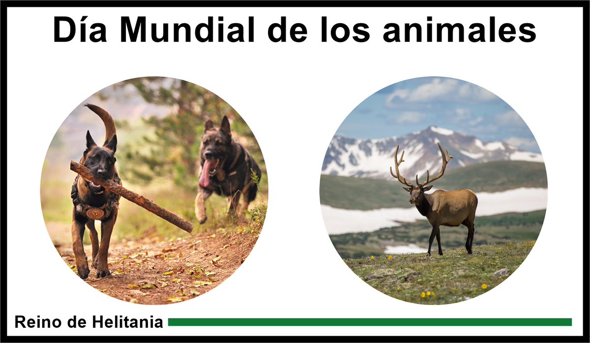 En el Día Mundial de los Animales queremos recordar que es importante tratar con respeto al resto de animales con los que convivimos.