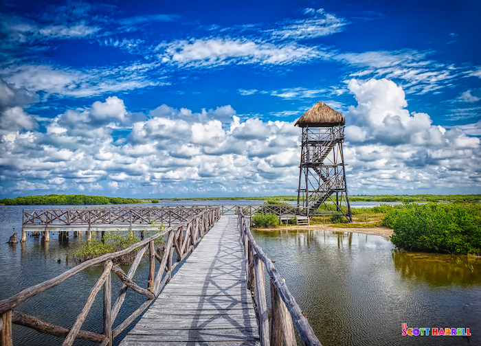 Punta Sur Eco Park is easily my favorite place to get away from it all in #Cozumel (just beware of the crocodiles). ;-)

I'm on Instagram, too! ----> instagram.com/lscottharrell/

#wanderlust