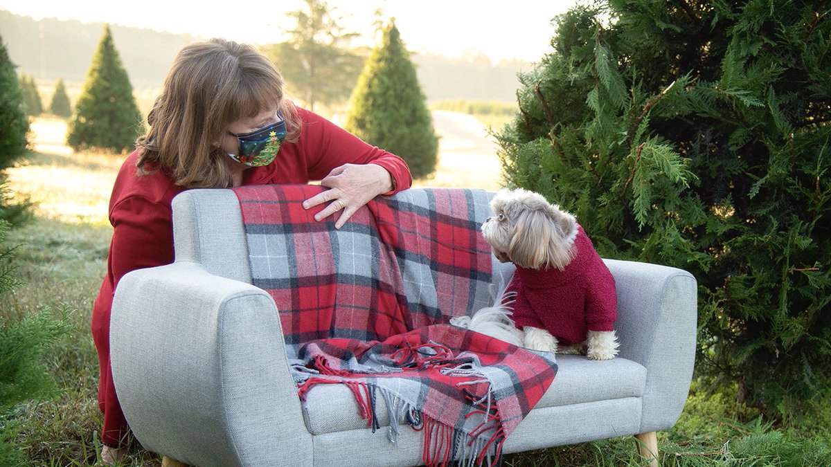 cltdogmom's tweet photo. My son has four paws and is the boss of me. #NationalSonDay #fourpaws #smallandincharge #bossofme https://t.co/HxchjmBB1a