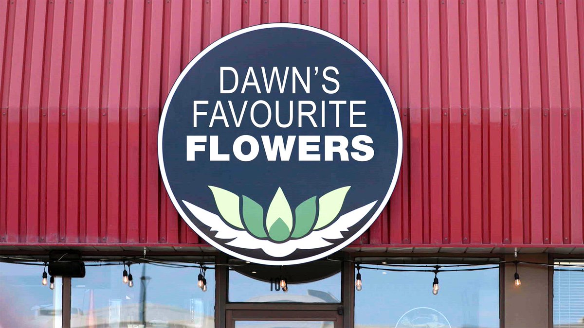 Content marketing has always been an effective way to promote your business, but we’ve seen a shift recently towards #VideoMarketing.  Learn how we used the power of video to deliver our most recent Brand campaign: directwest.com/marketing-insi…

#DWInsights #SKBusiness #SupportLocal