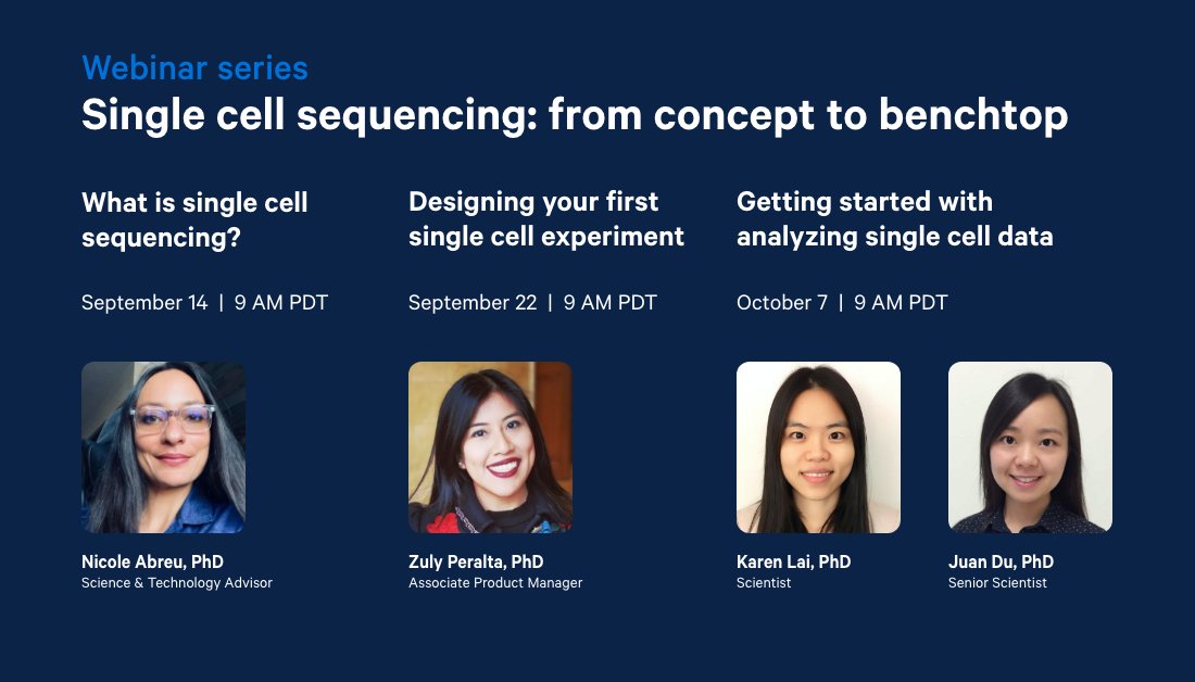 10xGenomics's tweet photo. Running your #singlecell assay is just the beginning. The last session in our single cell webinar series will cover what comes after the experiment—data analysis. Learn how the right tools can help you translate your data into biological insights. Sign up: https://t.co/ysB8zv8cbx https://t.co/GVnVpMA6kM