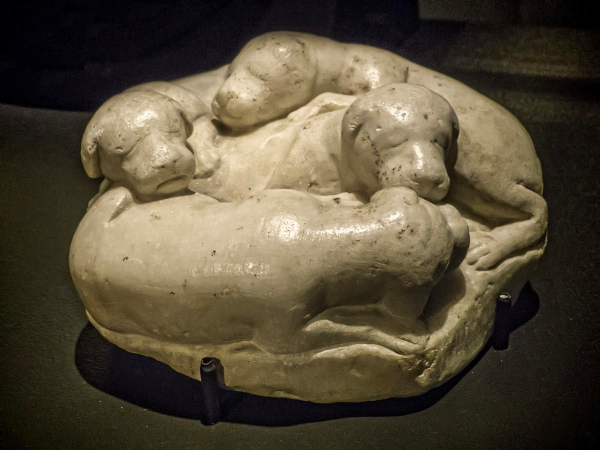 Four dogs huddled together (marble) from the House of the Faun, Rome 1st BC.