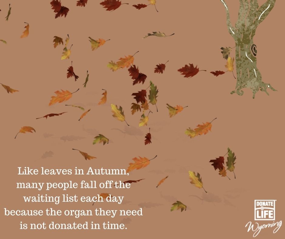 DonateLifeWY's tweet image. Nearly 20 people fall off the waitlist each day, because the organ they need is not donated in time. You can give hope to those who wait by saying YES to organ, eye and tissue donation today at DonateLifeWyoming.org. #DonateLife #Wyoming #CheckYes #donationsaveslives #beadonor