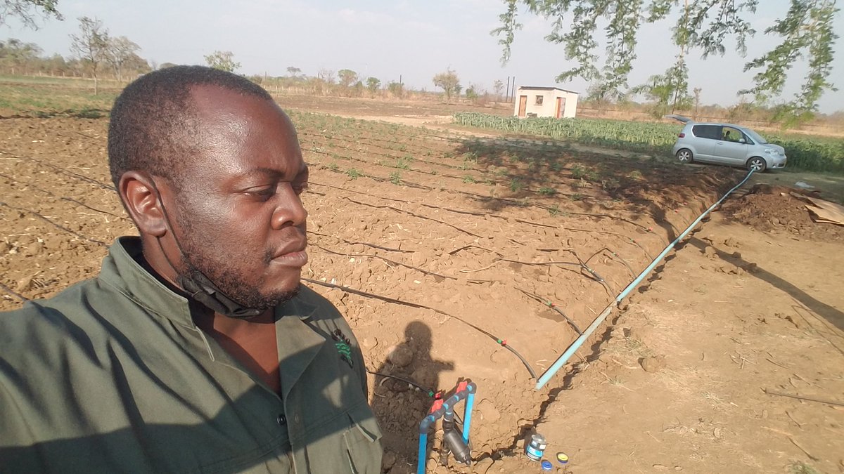 BaZaaAne's tweet photo. Sometimes you have to get into the trenches to allow farmers to attain their dream. Another drip set completed in Chegutu. #watpro https://t.co/RdV8t5G126