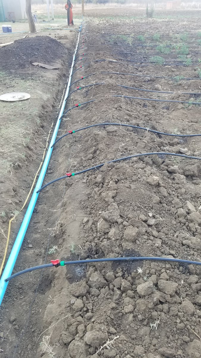 BaZaaAne's tweet photo. Sometimes you have to get into the trenches to allow farmers to attain their dream. Another drip set completed in Chegutu. #watpro https://t.co/RdV8t5G126