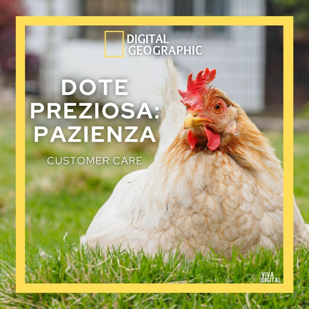 Customer care
Forse una delle creature digitali più morbide e gentili. L’addetta al costumer care è sempre a disposizione, la sua indole è quella di aiutare e mettersi al servizio altrui. Rispondere ai bisogni dei clienti è la sua vocazione e per questo ha sviluppato nei sec…