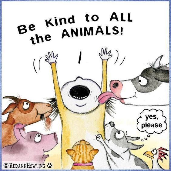 Question of the day 🤔How many celebrities are true animal lovers #pleaseshare #let's talk #celebrities #helpme @etnow @shondaland @GreysABC @people