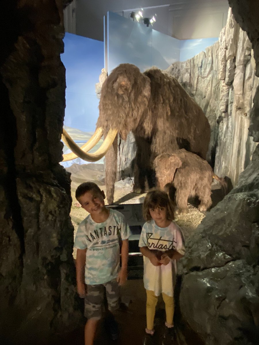 joolsmrose's tweet photo. Even if you’re not in school due to covid cases rising in your year, there’s always learning to enjoy……practical is always a fun way too!! ❤️ #Paleontology #History #Volcanology #Geology #seismology  #Astronomy  #Lepidopterology  #briancox https://t.co/NWLSjWFnud