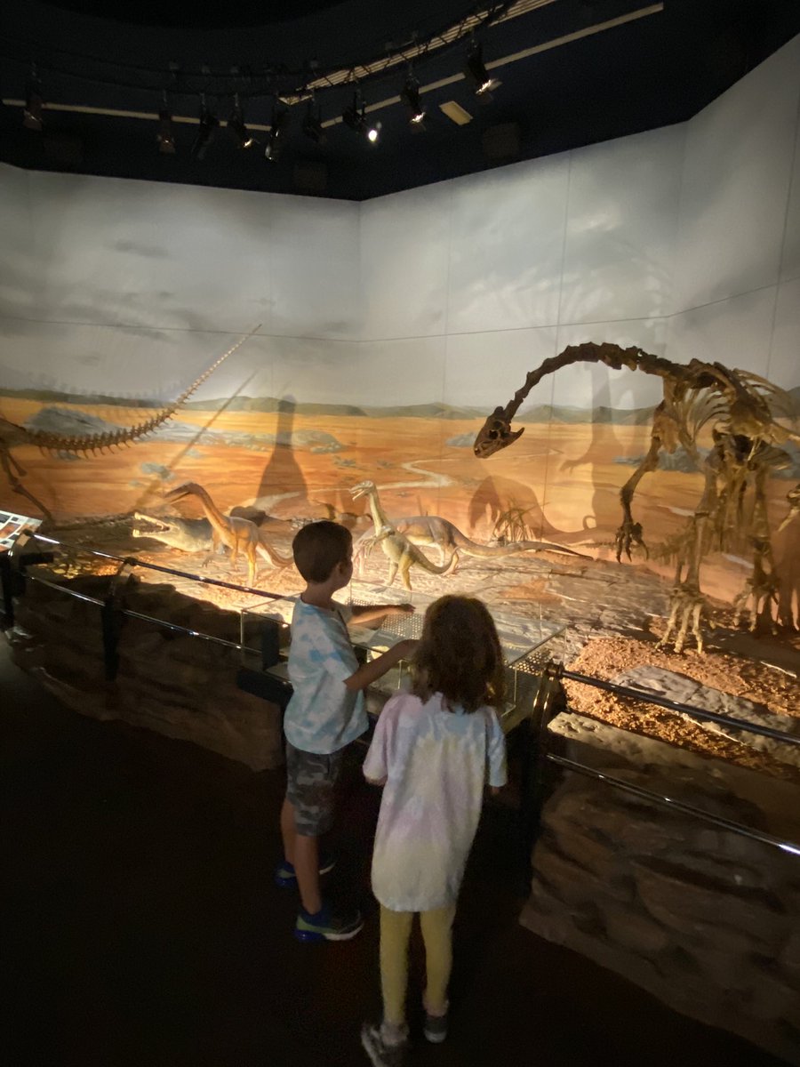 joolsmrose's tweet photo. Even if you’re not in school due to covid cases rising in your year, there’s always learning to enjoy……practical is always a fun way too!! ❤️ #Paleontology #History #Volcanology #Geology #seismology  #Astronomy  #Lepidopterology  #briancox https://t.co/NWLSjWFnud