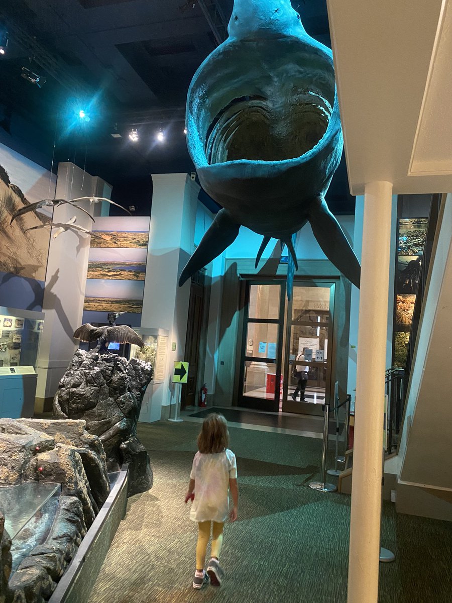 joolsmrose's tweet photo. Even if you’re not in school due to covid cases rising in your year, there’s always learning to enjoy……practical is always a fun way too!! ❤️ #Paleontology #History #Volcanology #Geology #seismology  #Astronomy  #Lepidopterology  #briancox https://t.co/NWLSjWFnud