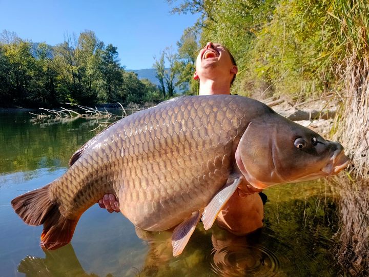 soniksports's tweet photo. What a brute of a carp... caught using Xtractor rods matched with the ever faithful Tournos 8000 reels loaded with Subsonik monofilament.
#Sonik #Subsonik #Chunk #Carpy #Whacker #Karpfen #Carpfishing
📸Marijn Ham Team Sonik Benelux https://t.co/tSJBvkyL48