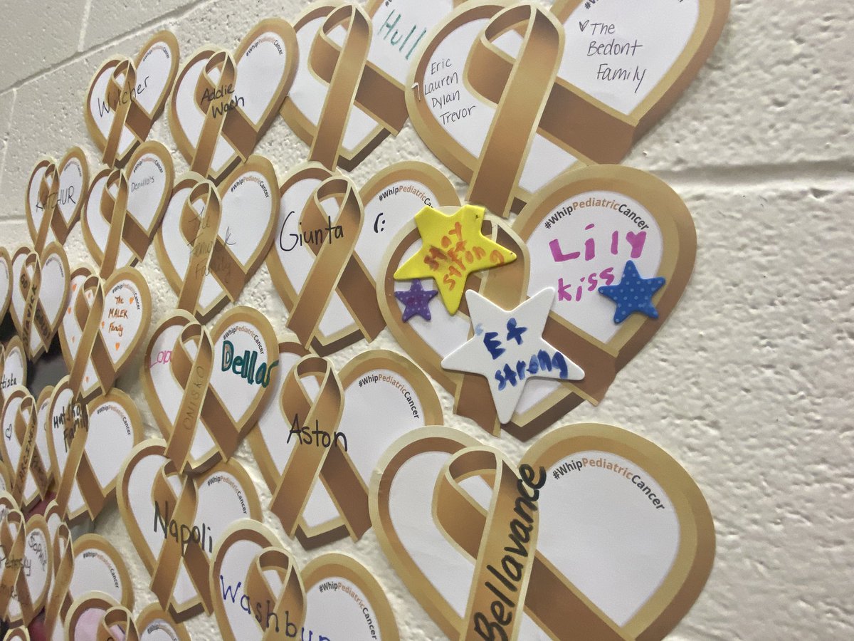 mcperry705's tweet photo. Central Elementary’s annual “Heart of Gold” Campaign to @HelpWhipCancer 💛#HeartofGoldProgram https://t.co/gVV381NvWK
