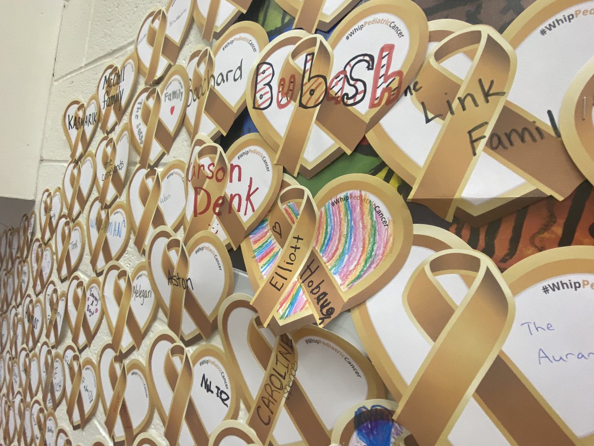 mcperry705's tweet photo. Central Elementary’s annual “Heart of Gold” Campaign to @HelpWhipCancer 💛#HeartofGoldProgram https://t.co/gVV381NvWK