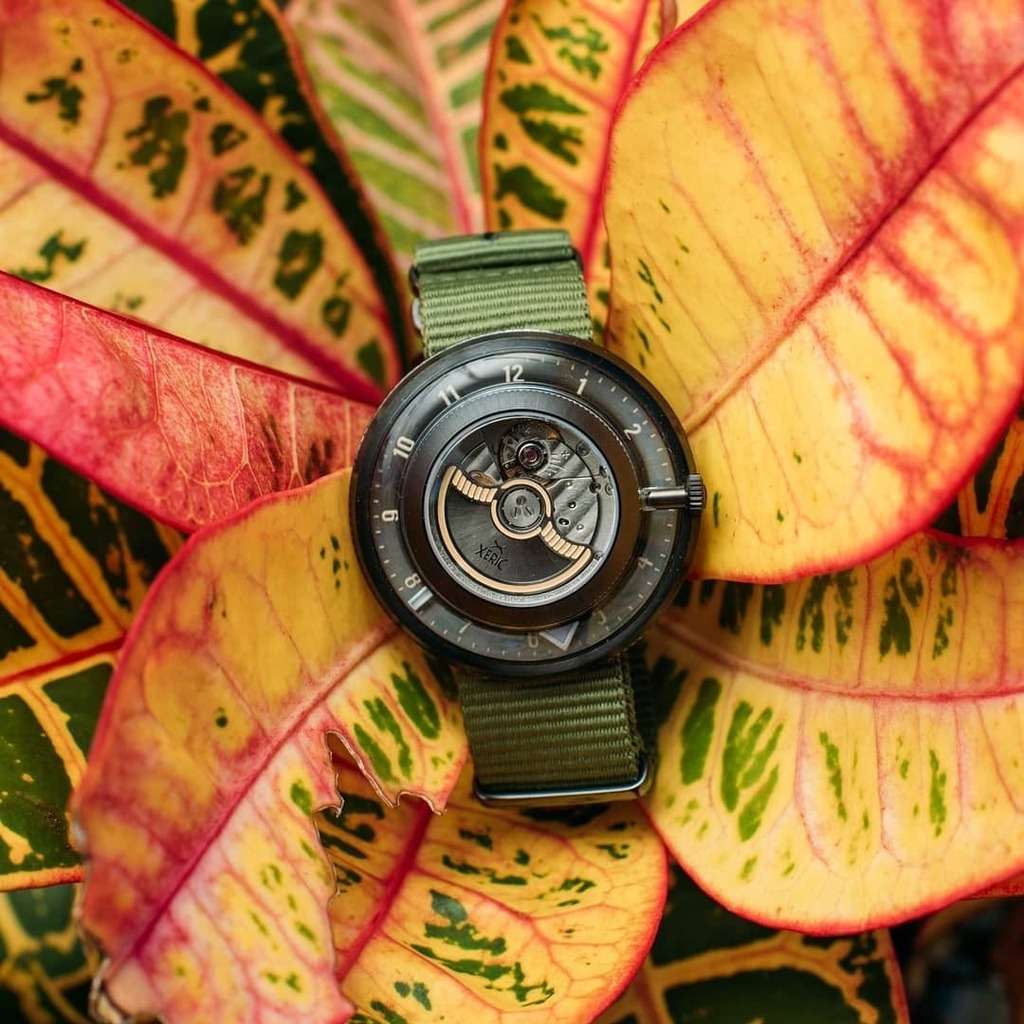 XericWatches's tweet photo. Horological Bloom #XericInvertor #XericWatches https://t.co/XEEi2DtVGM https://t.co/rBRJBcgQbf