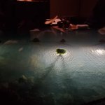 𝐌𝐚𝐲𝐮𝐧𝐠🩰🤍金沢のWebデザイナーのツイート画像