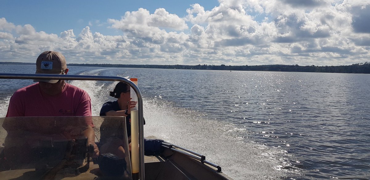 Benjamin Webster (@bencwebster) on Twitter photo Sediment sampling Lake Seminole today! Couldn't convince <a href="/Bankclimber/">Stephen Golladay</a> to join us, so I guess I had to be the photographer. Sediment sampling Lake Seminole today! Couldn't convince <a href="/Bankclimber/">Stephen Golladay</a> to join us, so I guess I had to be the photographer.