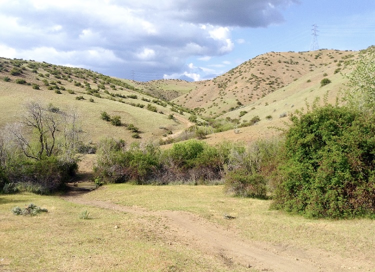 BroncoSportXCTF's tweet photo. ๐๐ช๐ฌ๐ด ๐ช๐ฝ ๐ฒ๐ฝ... #TrailTuesday
As its name suggests, Hard Guy Trail is a tough climb. Located in Boiseโs Upper Foothills, the trail challenges runners for the duration of their workout โผ๏ธ
#BleedBlue #RunBoise https://t.co/FnIN3jzqRj