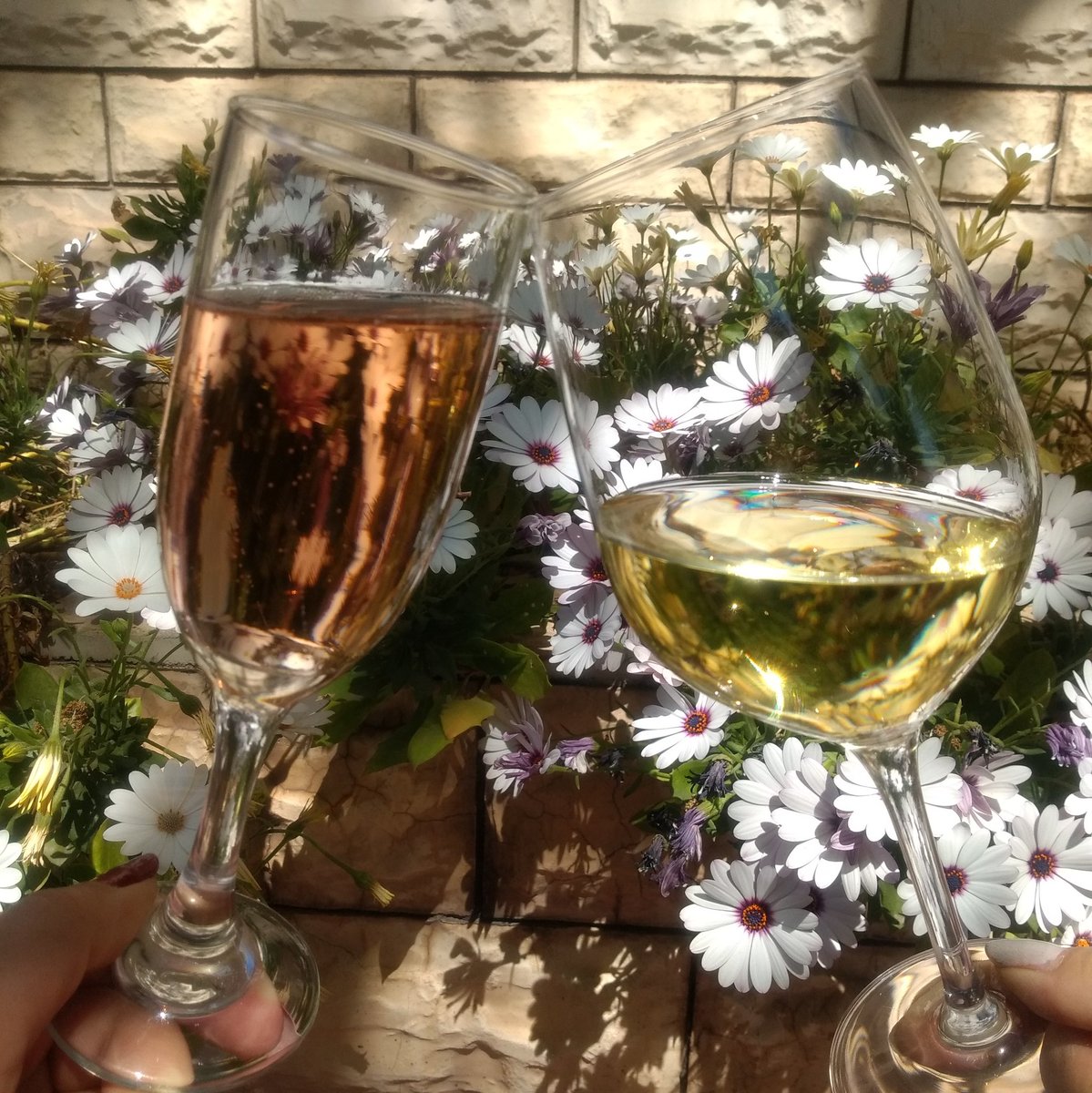 ExigenteW's tweet photo. En primavera los vinos frescos y ligeros son más atractivos 🌺
Sólo vamos a adelantarte que tenemos algunas sorpresas a partir de esta temporada 😉🍷
#winetime #exigentewine #vinosjovenes #primavera #winemoments https://t.co/YnhiYyUFHM