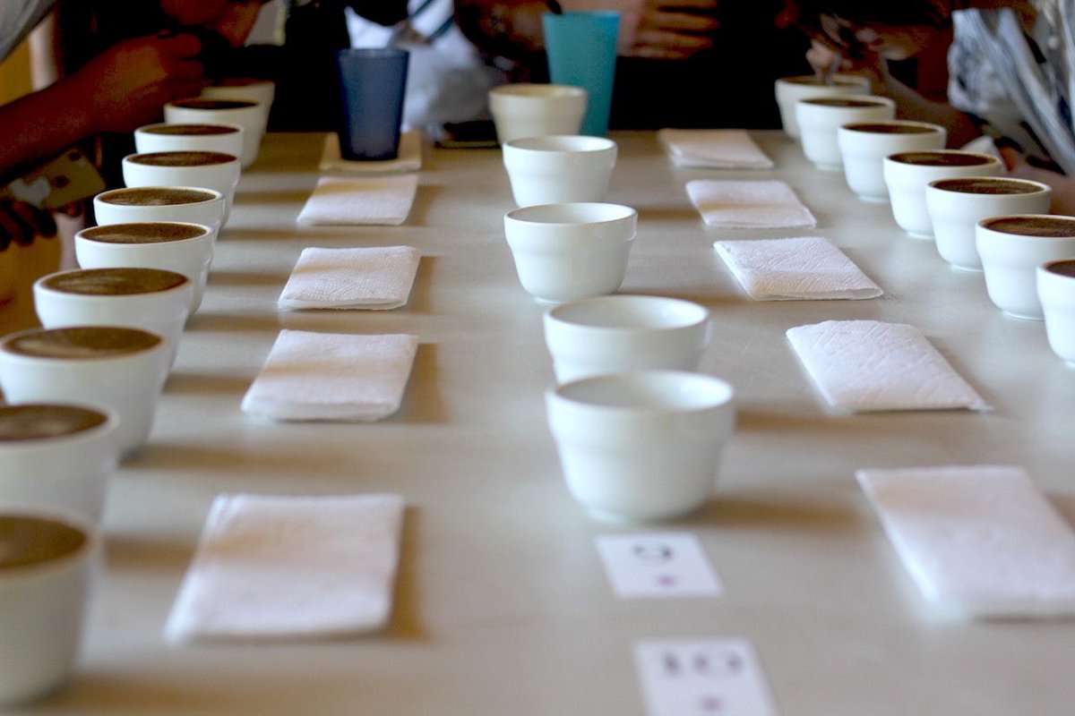 Memli Coffee Lab tweet media