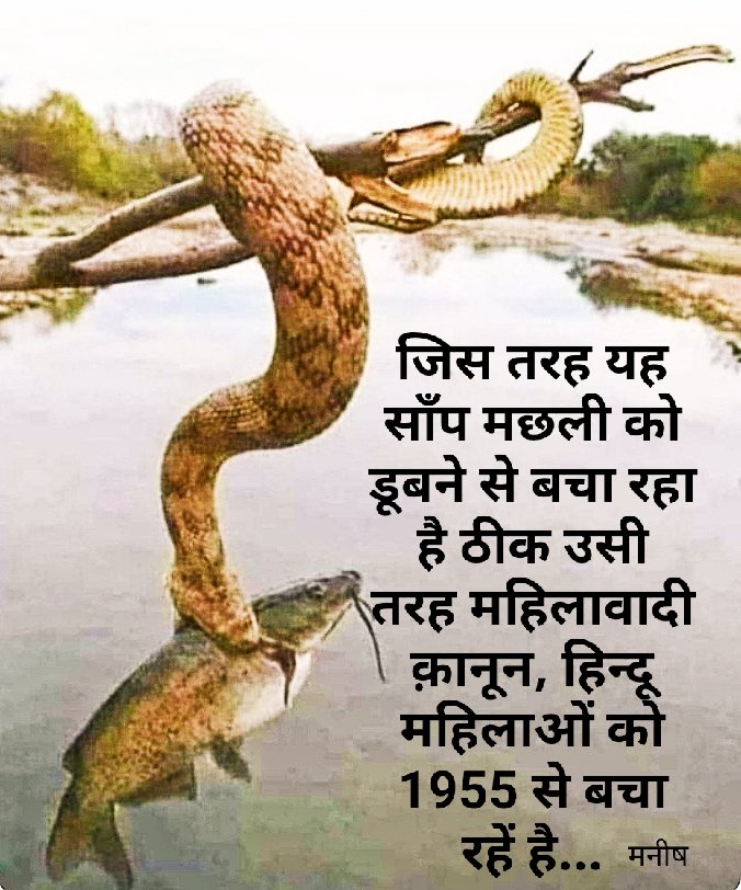 #GenderBiasedLwas
#fakecases #FeminismIsCancer #LegalExtorion